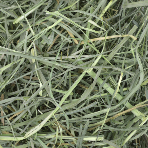 Oxbow Orchard Grass Hay Medium 1.13kg