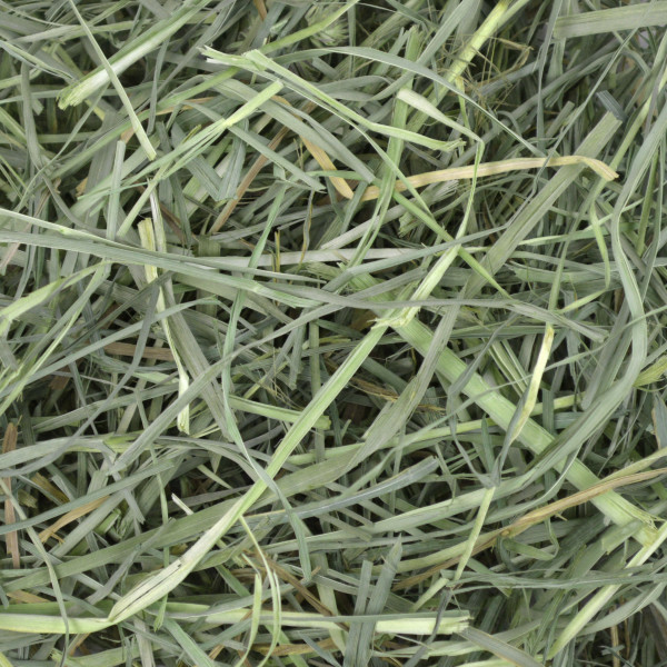 Oxbow Orchard Grass Hay Small 425g