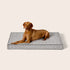 Odour Ctrl Dream Mat Soho