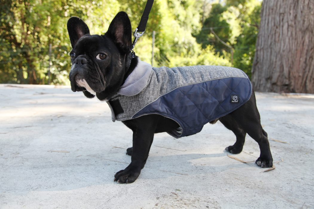 Dog Coat AdventureWalker Windproof Refl Grey Navy