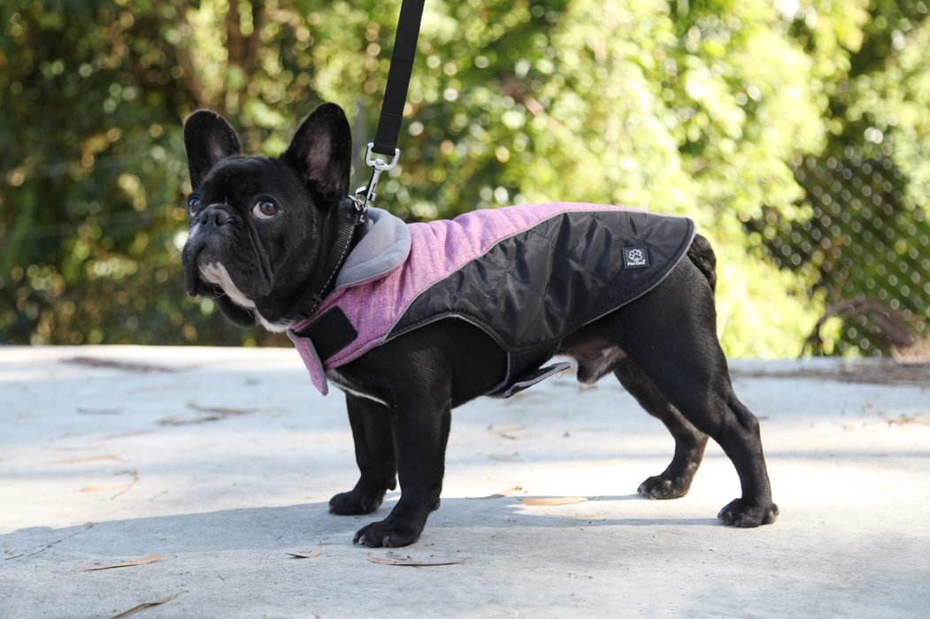 Dog Coat AdventureWalker Windproof Refl Pink Black