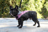 Dog Coat AdventureWalker Windproof Refl Pink Black