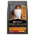 Pro Plan Adult Dry Medium Breed Chicken