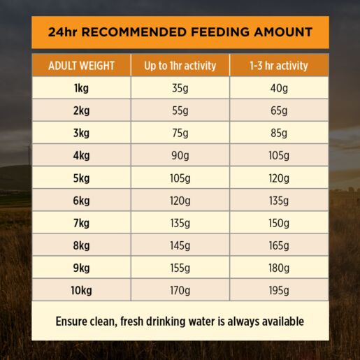 Pro Plan Puppy Dry Small Breed Chicken