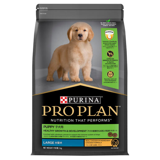 Pro Plan Puppy Dry Large Breed Chicken