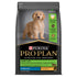 Pro Plan Puppy Dry Large Breed Chicken