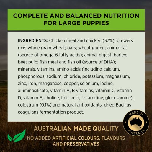 Pro Plan Puppy Dry Large Breed Chicken