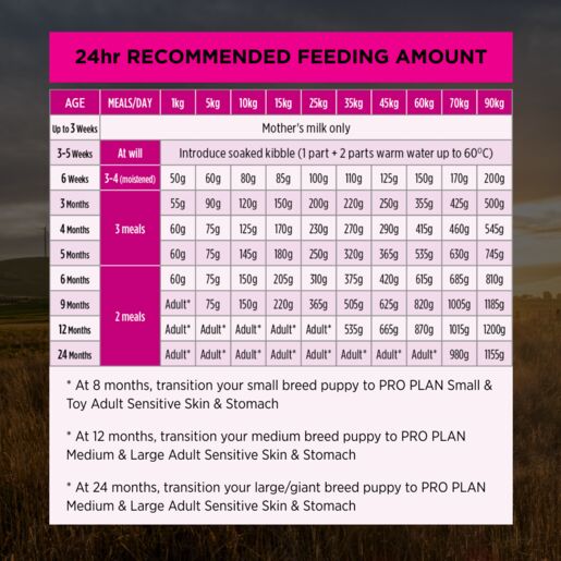 Pro Plan Puppy Dry Sensitive Skin and Stomach 12KG