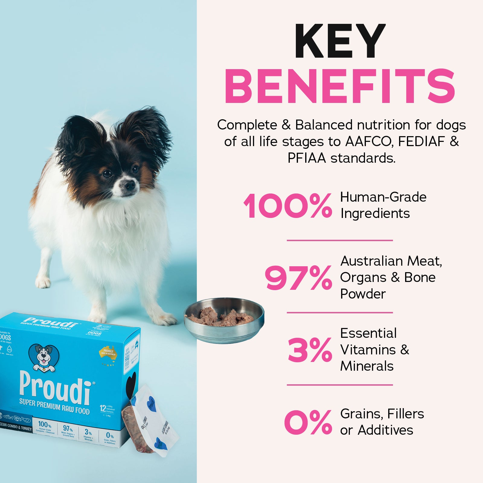 Proudi DOG Ocean Combo