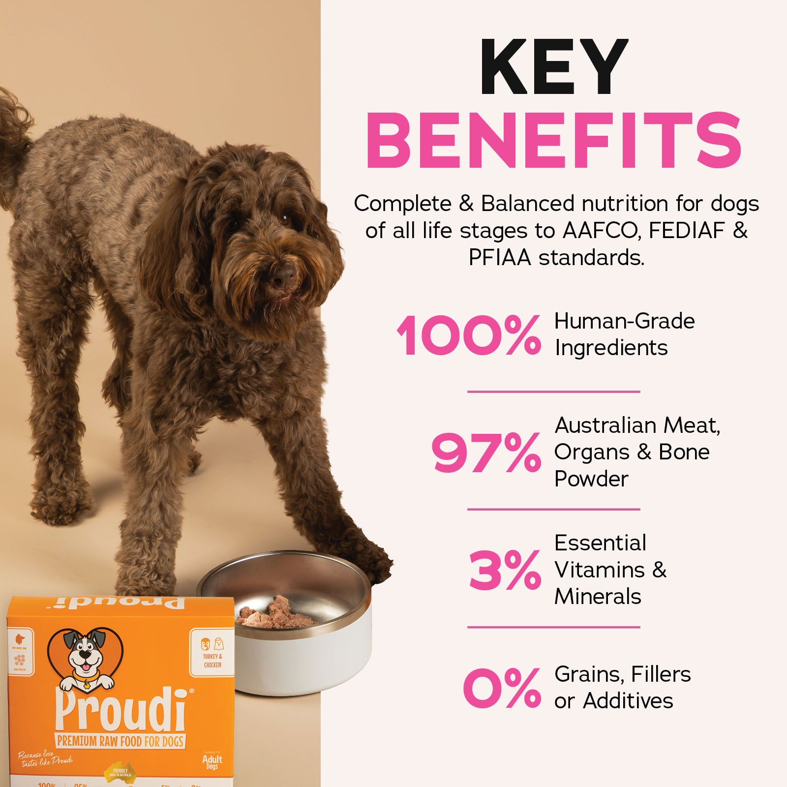 Proudi DOG Turkey & Chicken