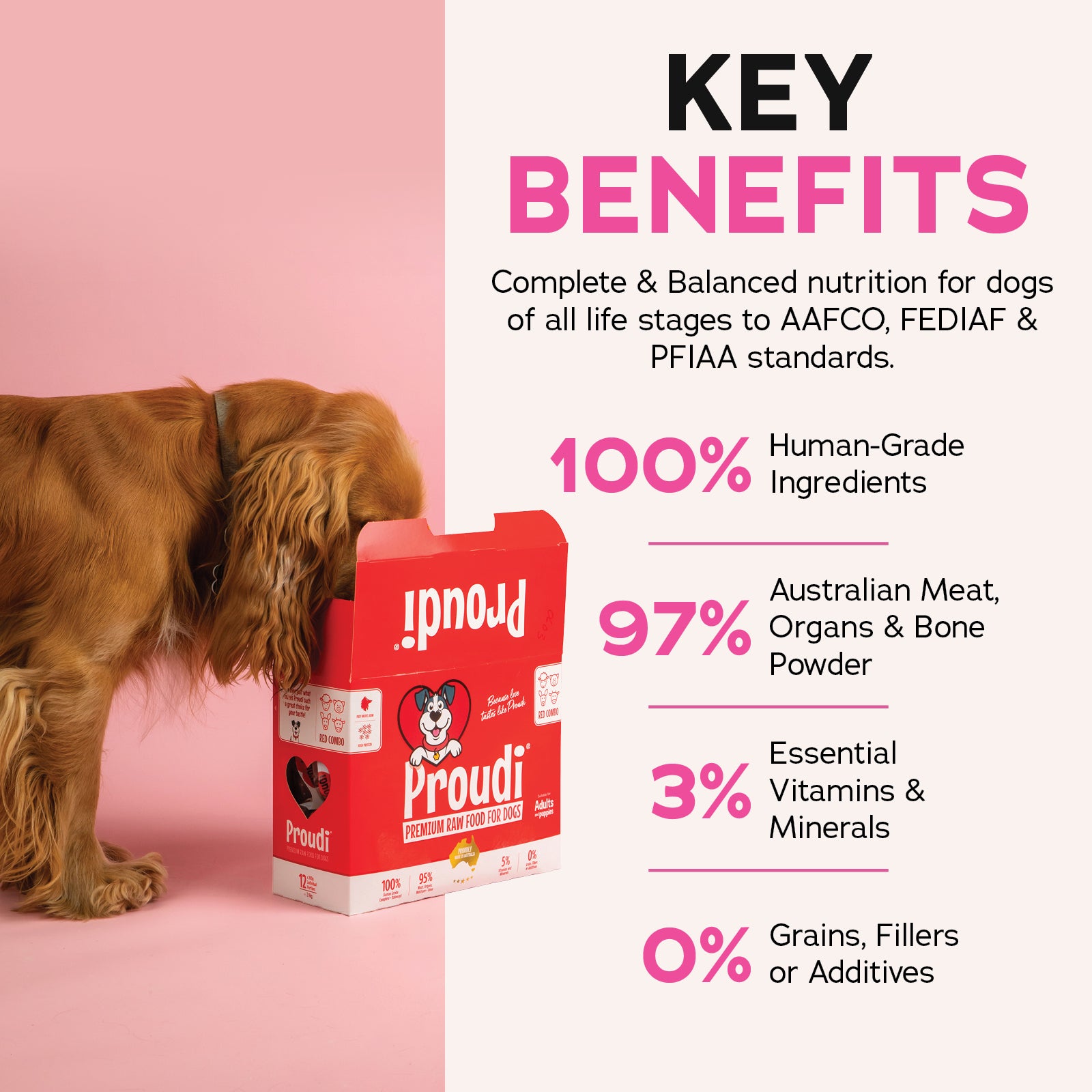 Proudi DOG Red Combo