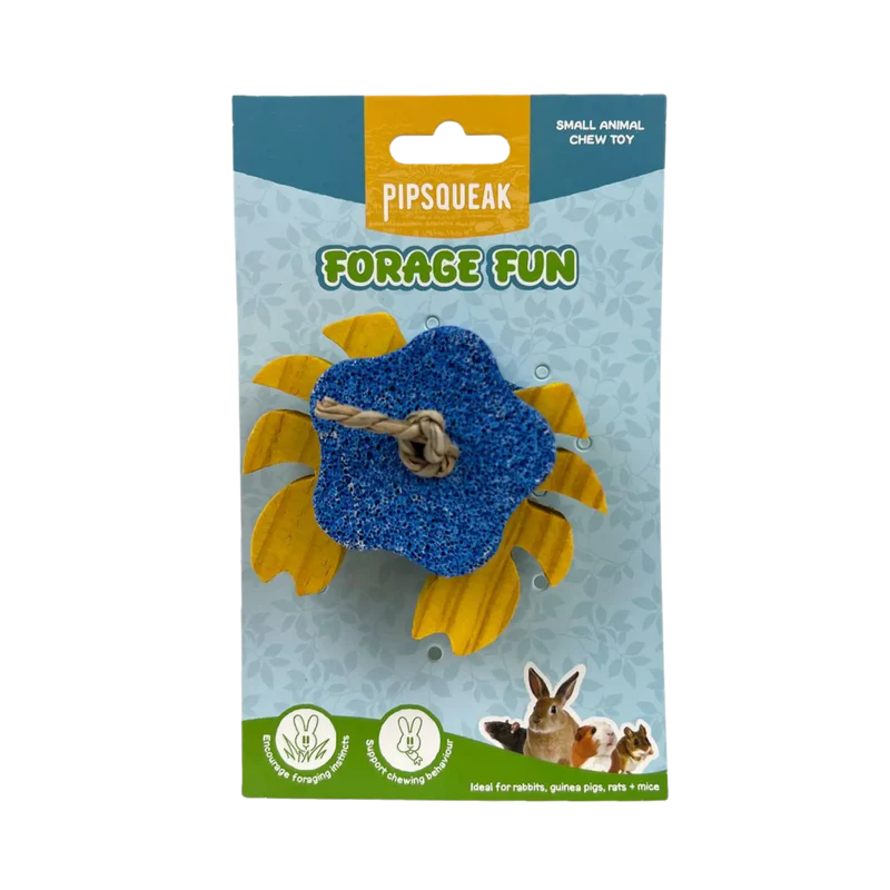 Pipsqueak Chew Pumice Crab