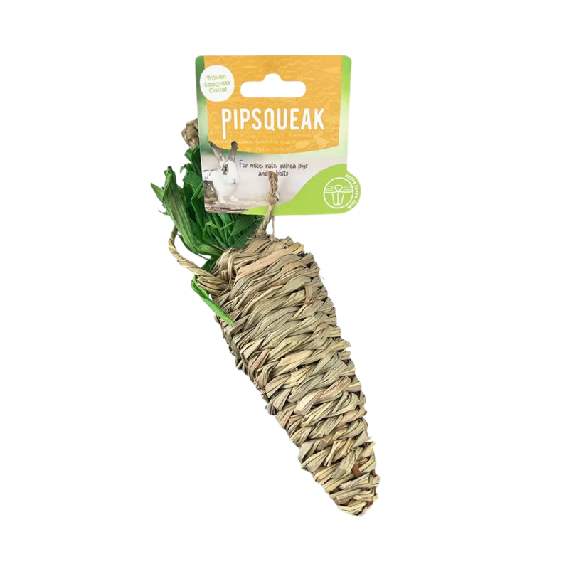Pipsqueak Chew Seagrass Carrot