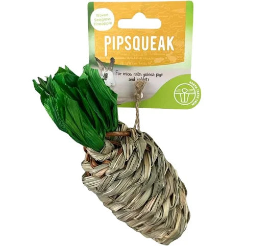 Pipsqueak Chew Seagrass Radish