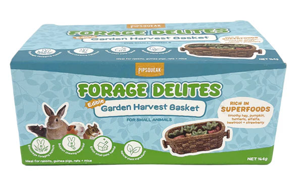 Pipsqueak Forage Delites Garden Harvest Basket & Fruits