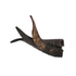 Goat Horn Small