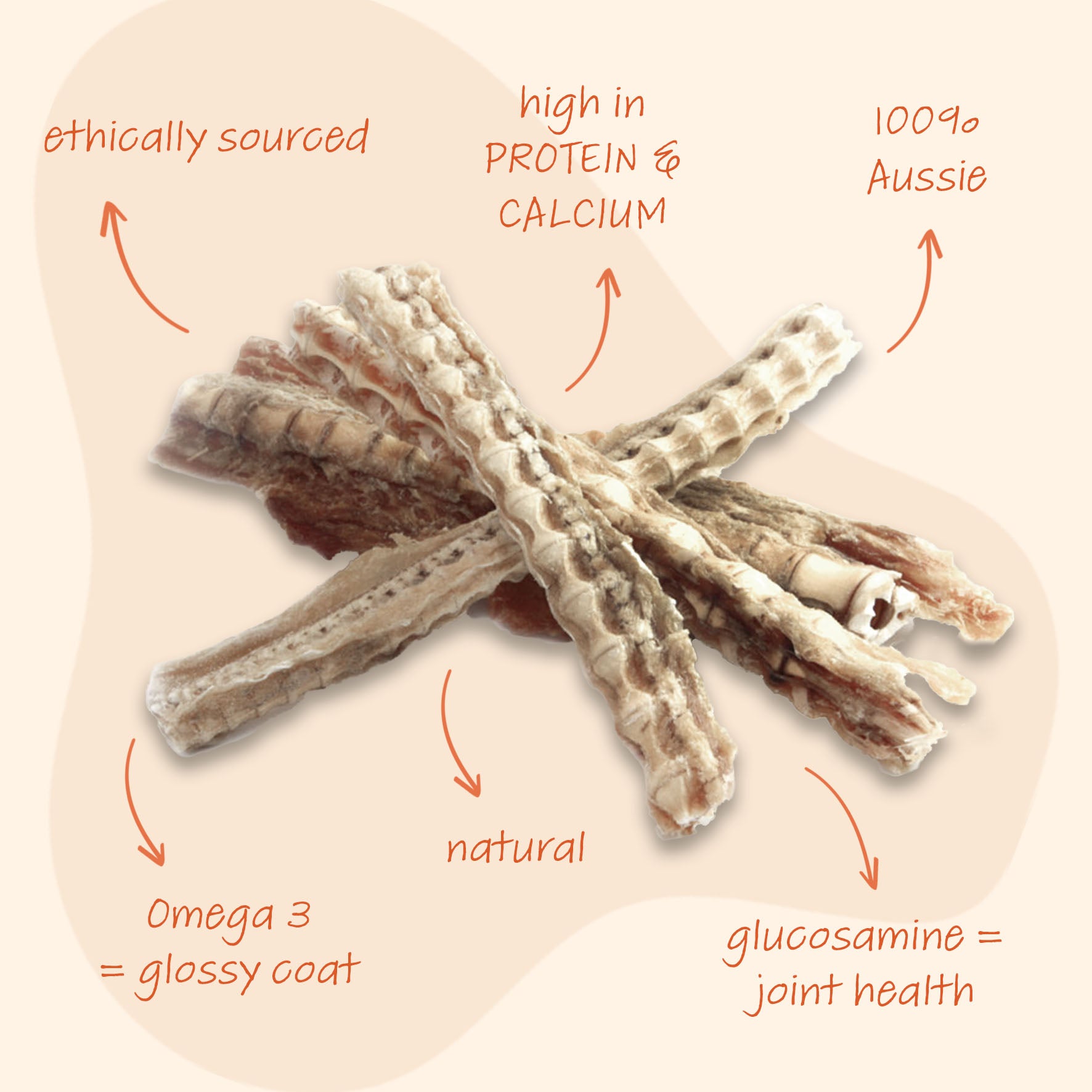 Pooch Treats Shark Cartilage 200g