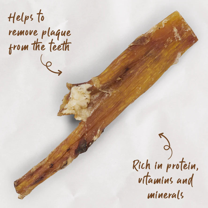 Kazoo Prime Cuts Beef Paddywack