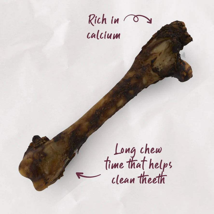 Kazoo Prime Cuts Kangaroo Shin Bone