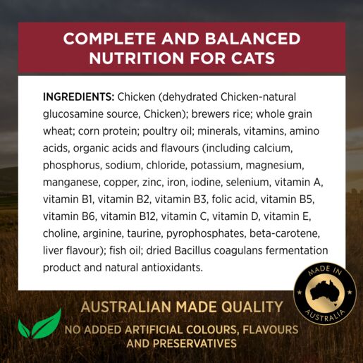 Pro Plan Adult Chicken 400g
