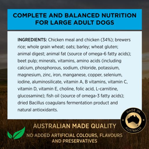 Pro Plan Adult Dry Large Breed Chicken 15KG