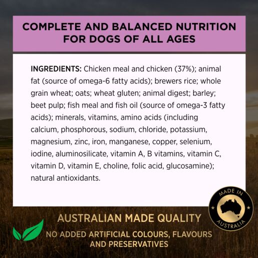 Pro Plan Adult Dry Performance Chicken 20KG