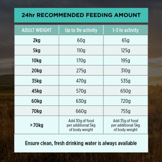 Pro Plan Adult Dry Sensitive Digestion Lamb 12KG