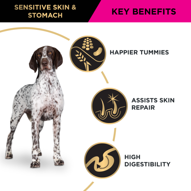 Pro Plan Adult Sensitive Skin and Stomach Med/Lrg Breed 12KG