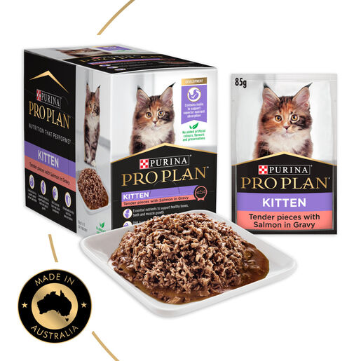 Pro Plan Cat Kitten Salmon 12pk