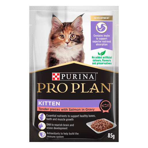 Pro Plan Cat Kitten Salmon 12pk