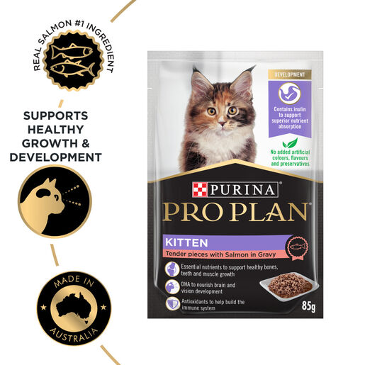 Pro Plan Cat Kitten Salmon 12pk