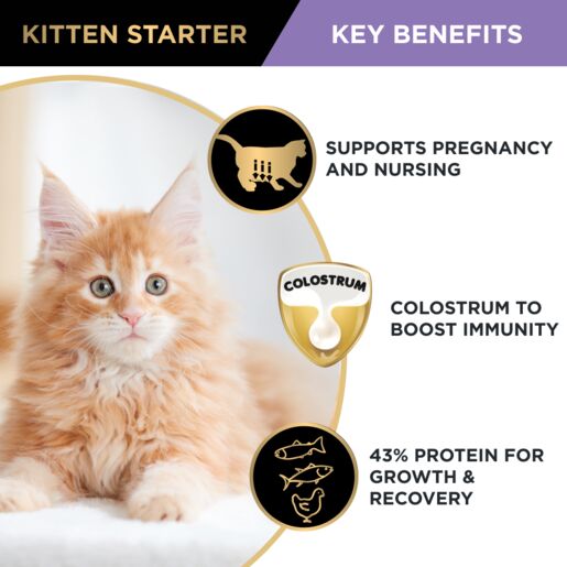 Pro Plan Kitten Starter 8kg