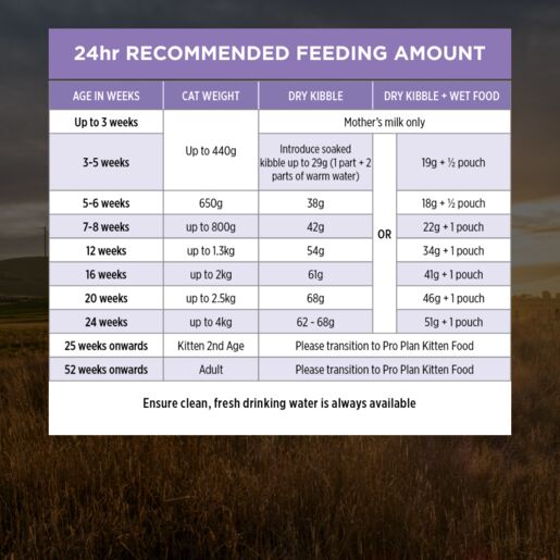 Pro Plan Kitten Starter 8kg