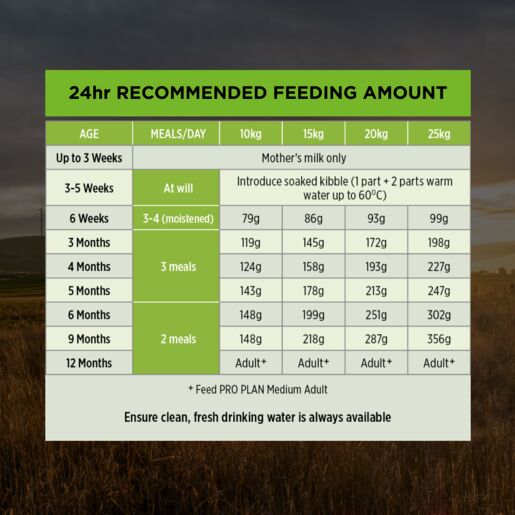 Pro Plan Puppy Dry Medium Breed Chicken