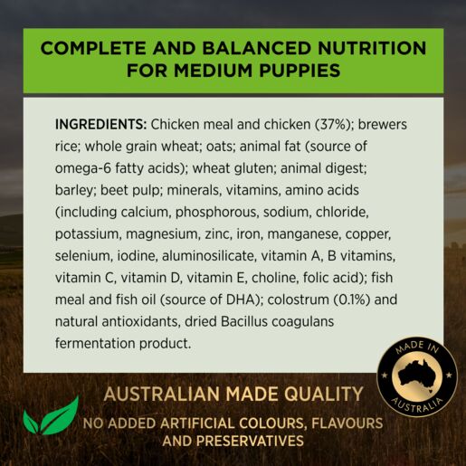 Pro Plan Puppy Dry Medium Breed Chicken