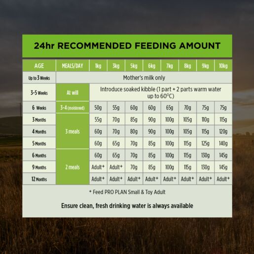 Pro Plan Puppy Dry Small Breed Chicken