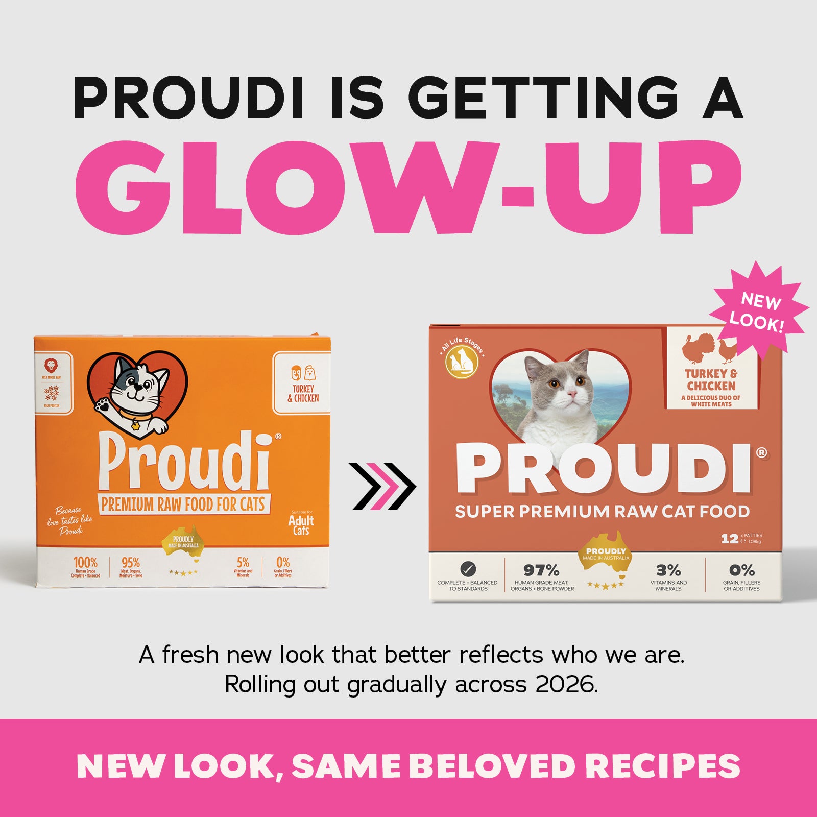Proudi CAT Turkey & Chicken