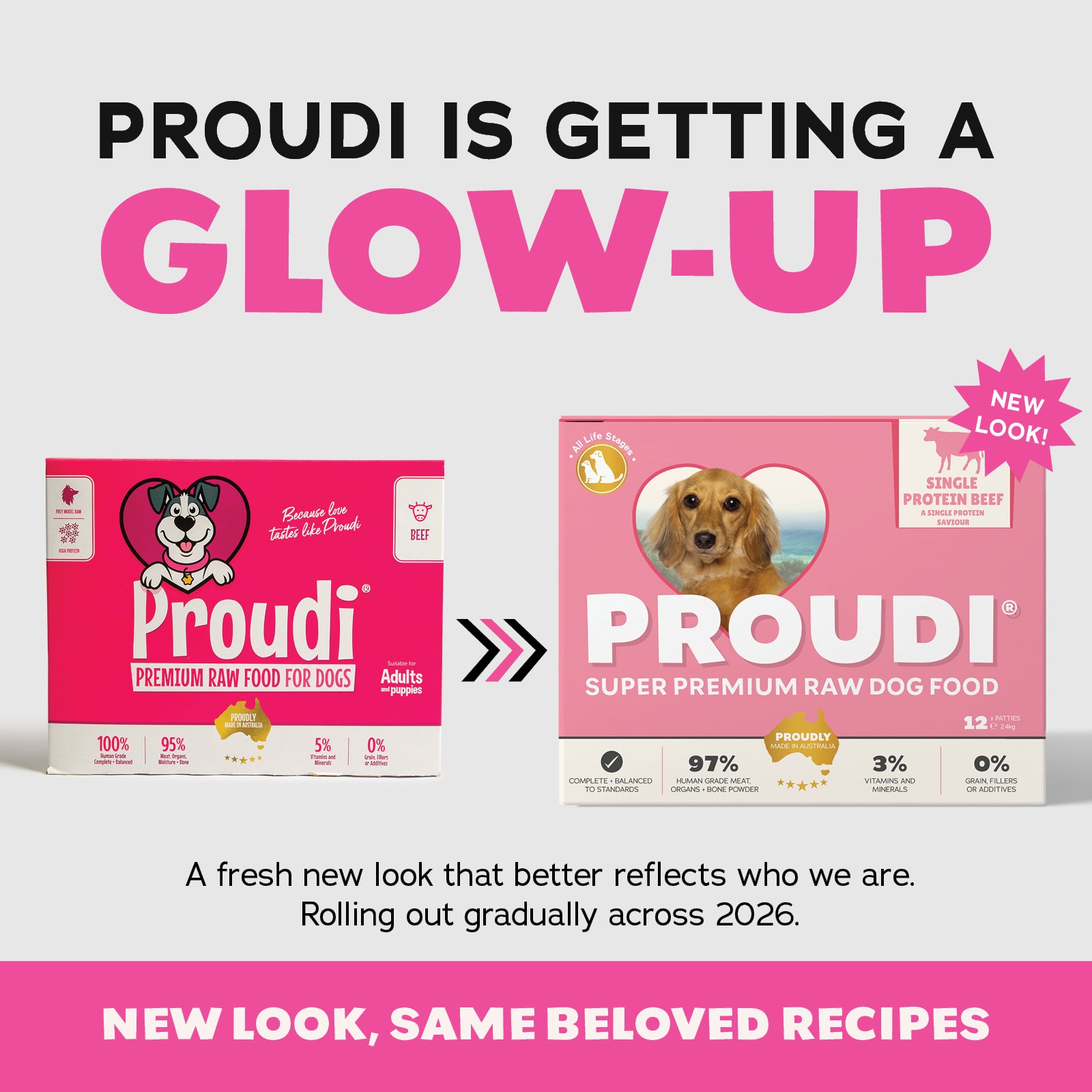 Proudi DOG Beef