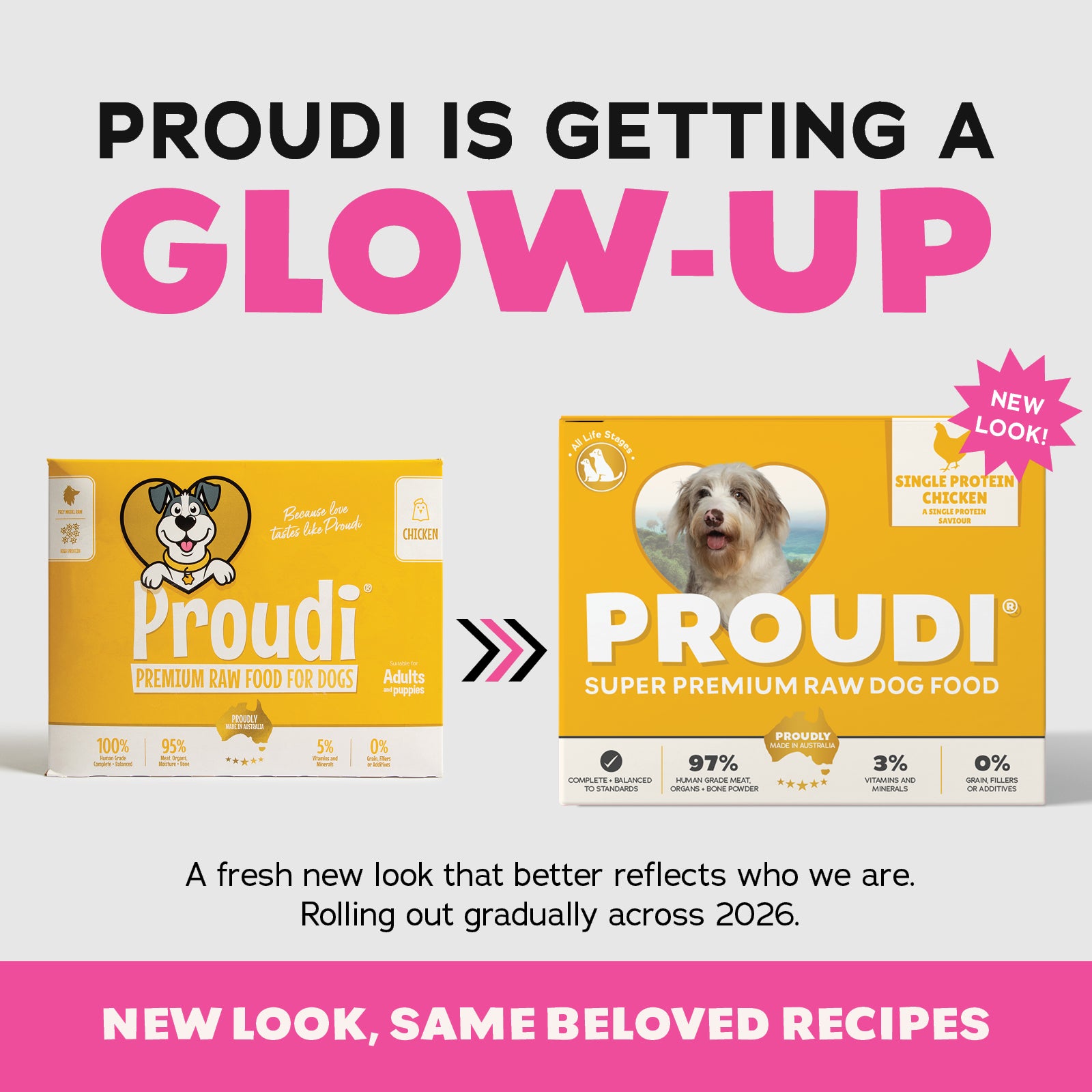 Proudi DOG Chicken