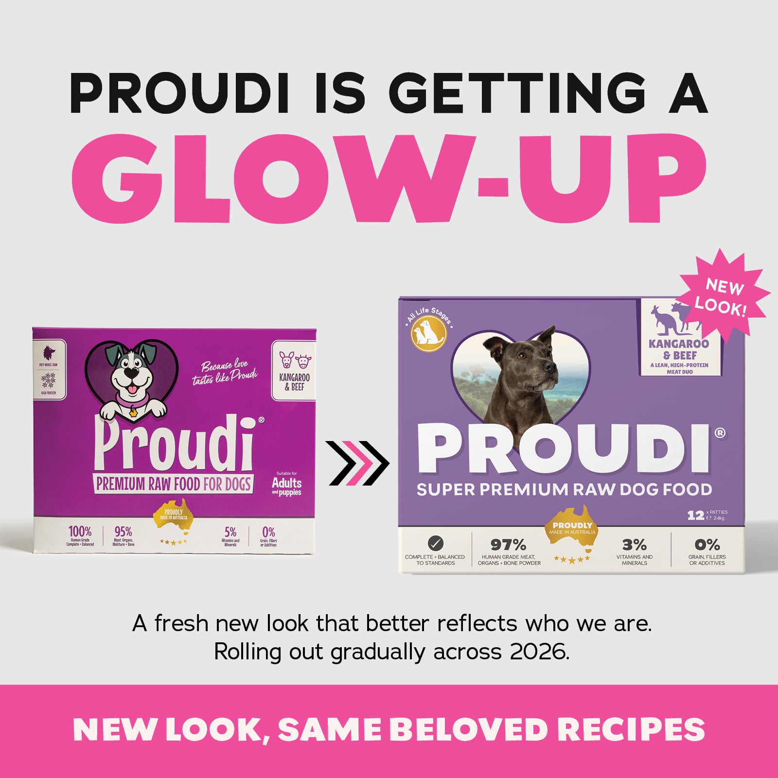 Proudi DOG Kangaroo & Beef
