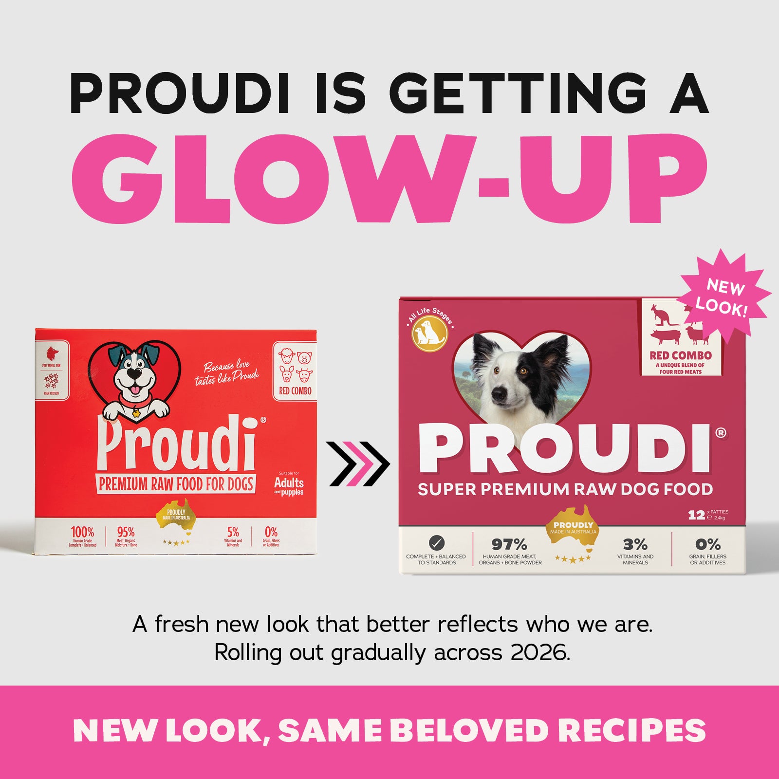 Proudi DOG Red Combo