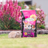 Green Valley Rabbit and Guinea Pig Mix