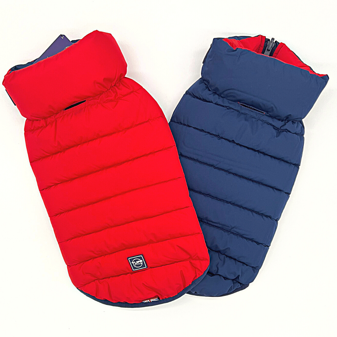 Jacket Puffer Reversible Red & Navy