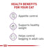 Royal Canin Cat Dry Appetite Control