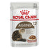 Royal Canin Cat Wet Ageing 12plus Gravy