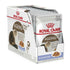 Royal Canin Cat Wet Ageing 12plus Jelly