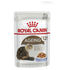 Royal Canin Cat Wet Ageing 12plus Jelly