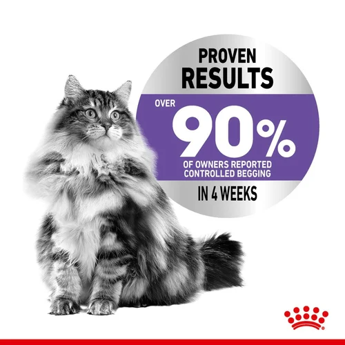 Royal Canin Cat Wet Apetite Control Gravy 85g