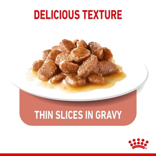 Royal Canin Cat Wet Apetite Control Gravy 85g