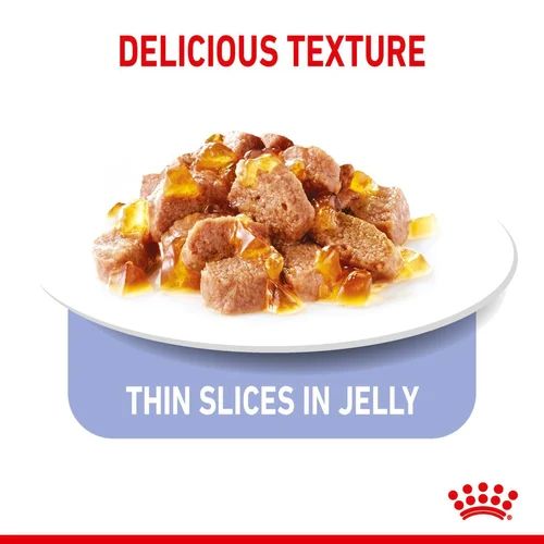 Royal Canin Cat Wet Apetite Control Jelly 85g 12pk